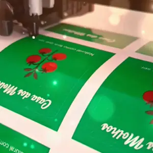 Portfólio: Adesivos